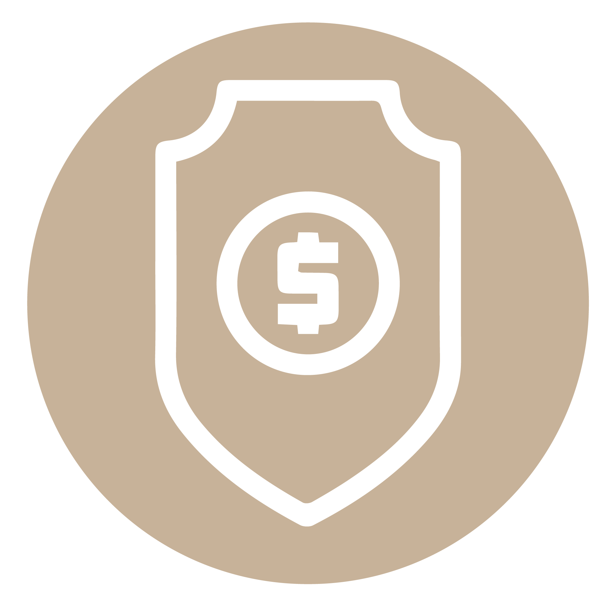 "پرداخت امن"